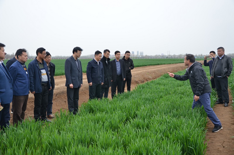 1553738733658816.jpg 55.jpg